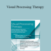 Leonard Press - Visual Processing Therapy: Helping Individuals with Sensory Processing Disorders